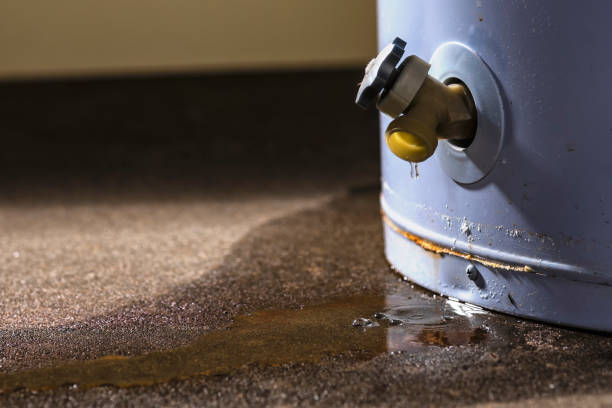 Best Fire Damage Restoration  in Ritzville, WA