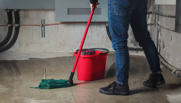 Best Water damage contractors near me  in Ritzville, WA